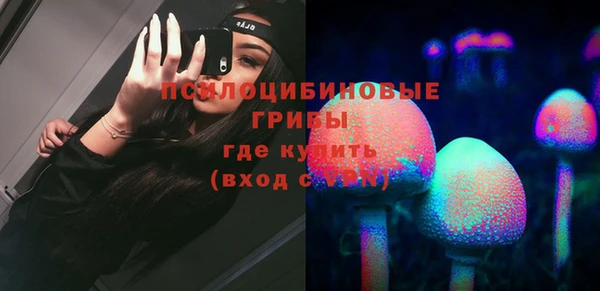 МДПВ Ладушкин