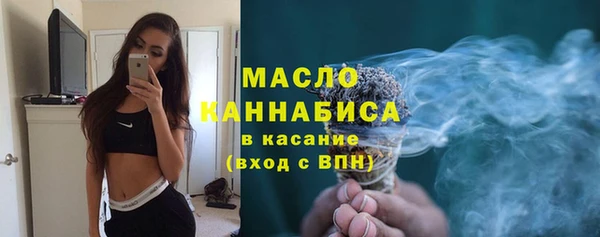 дмт Лабытнанги