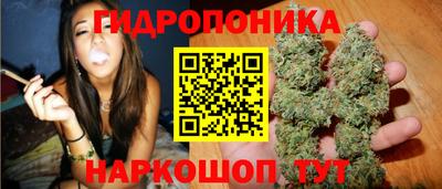 альфа пвп Волгодонск